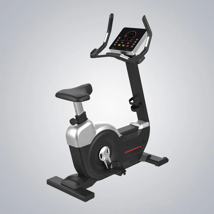 Life-Sport Upright Bike